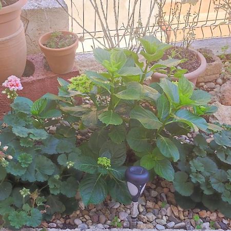 Apartman Campo Šibenik Екстериор снимка